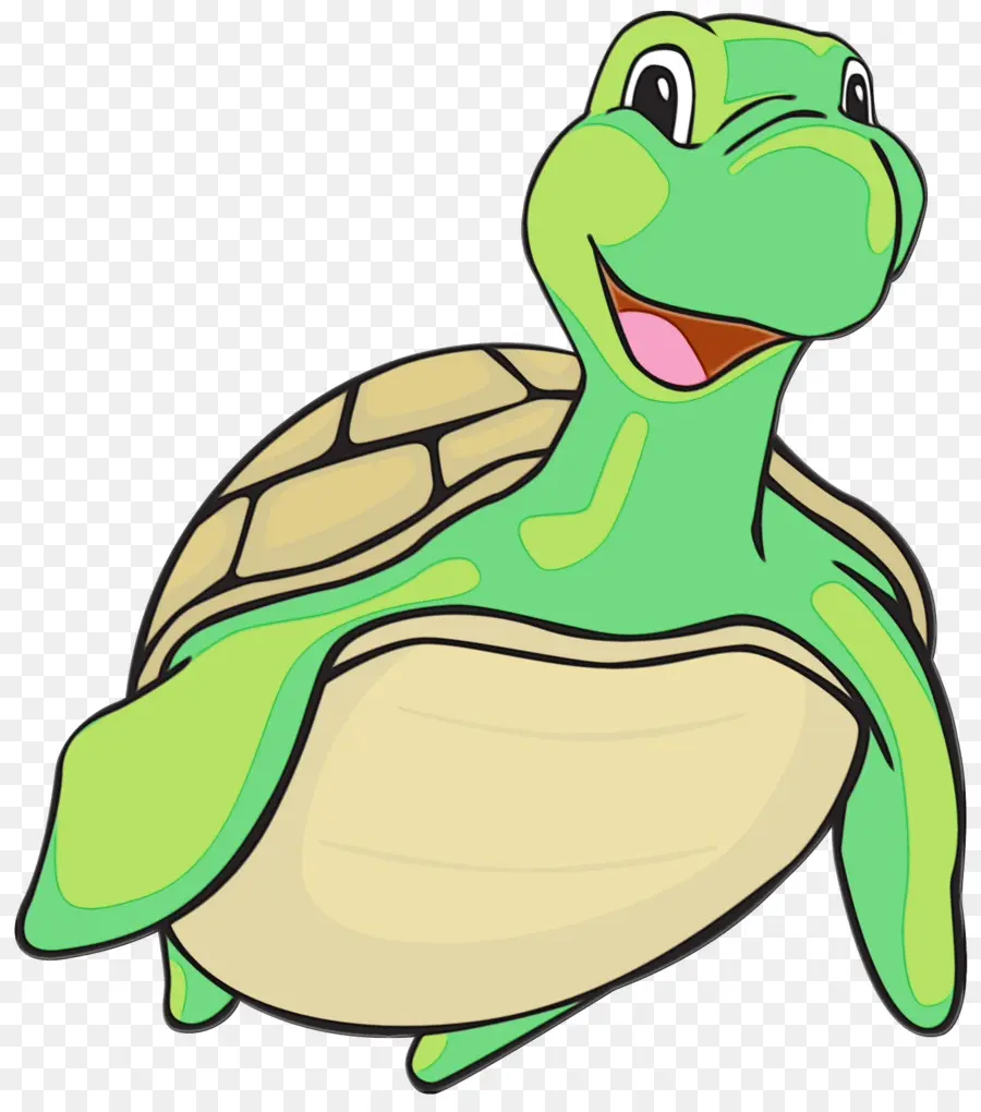 Tortue De Dessin Animé，Vert PNG