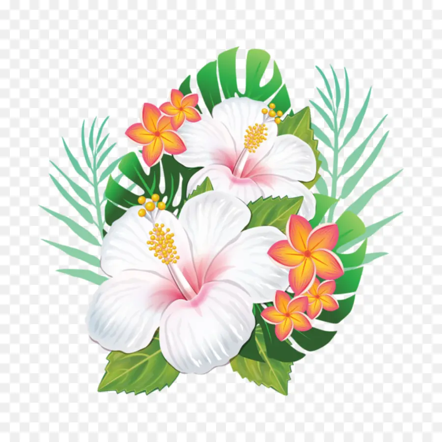 Hawaii，Fleur PNG