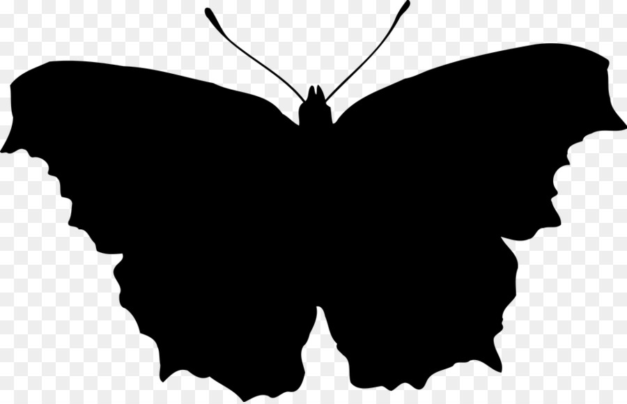 Silhouette De Papillon，Insecte PNG