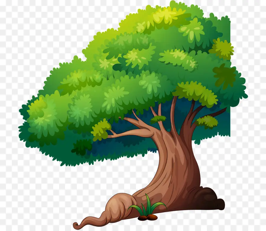 Arbre，Usine PNG