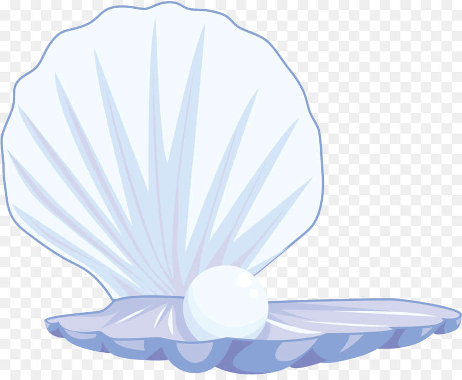 Akoya Pearl Oyster，Perle PNG