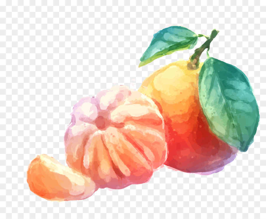 Orange，Agrumes PNG