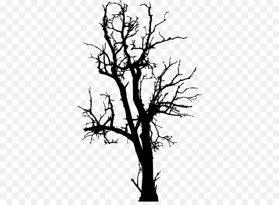 Arbre，Silhouette PNG