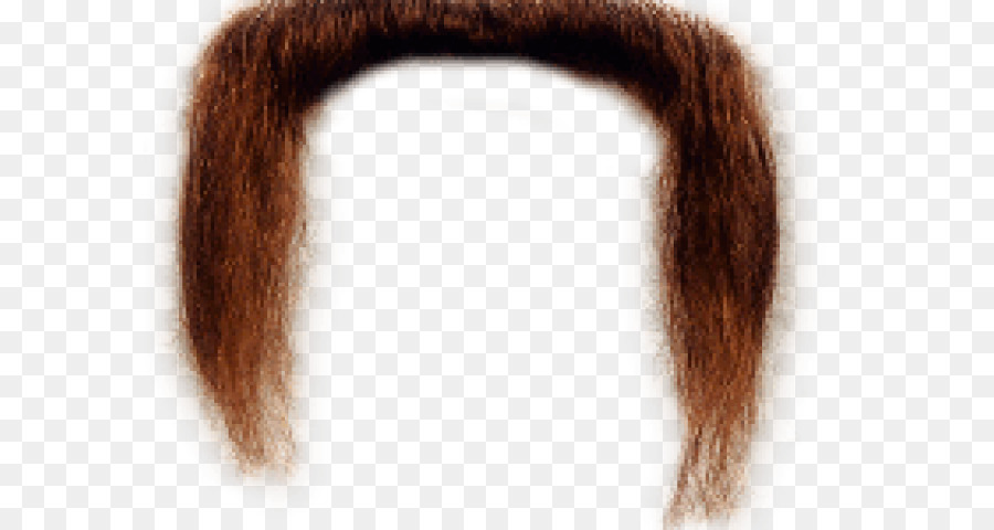 Moustache，Cheveux PNG