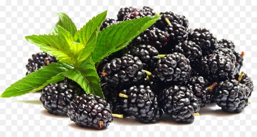 Blackberry，Jus PNG
