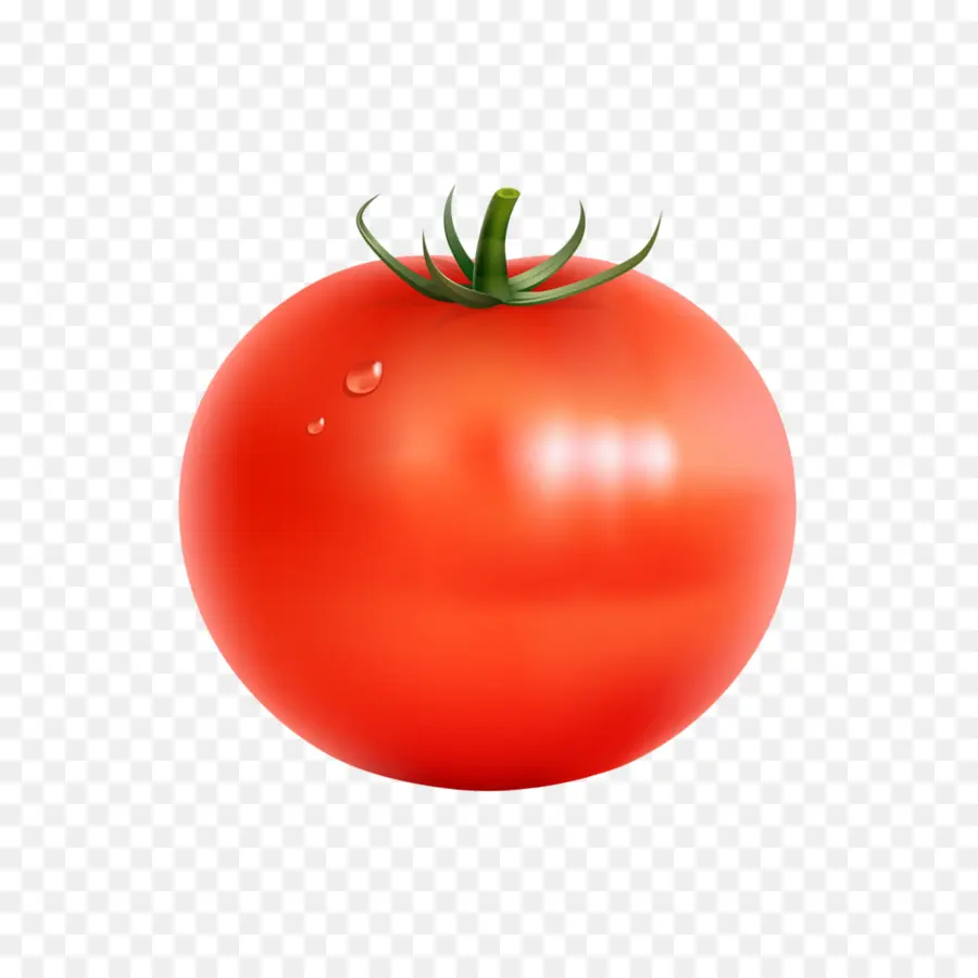 Tomate，Salsa PNG