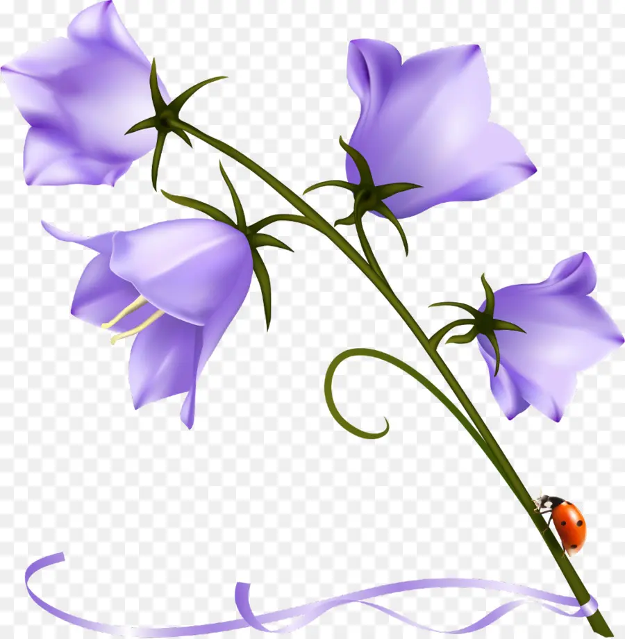 Fleurs De Cloche Violettes，Usine PNG