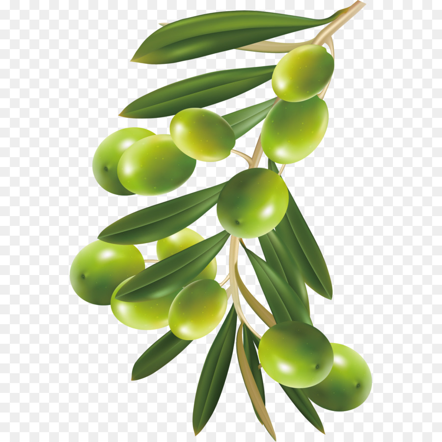 Olive，Télécharger PNG