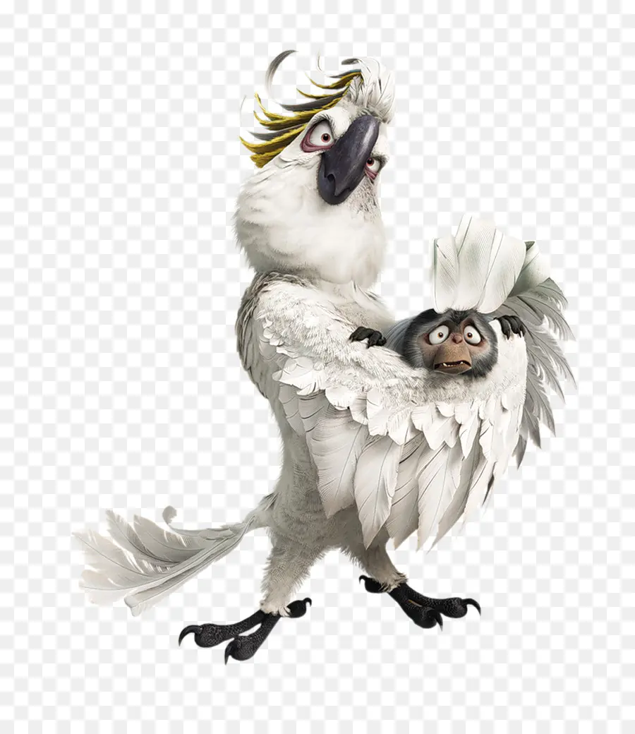 Oiseaux，Blanc PNG