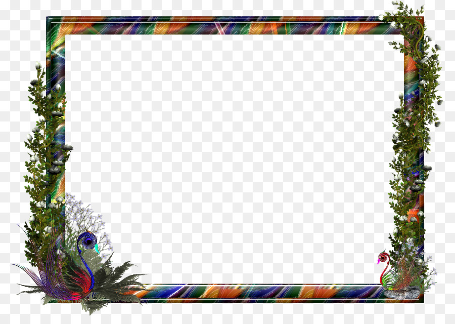 Cadre Décoratif，Coloré PNG