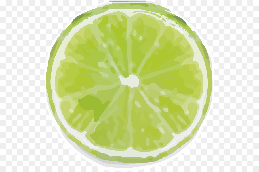 Tranche De Citron Vert，Agrumes PNG