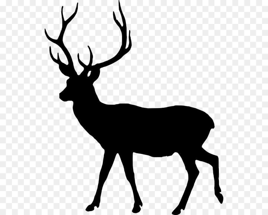 Cerf，Bois PNG