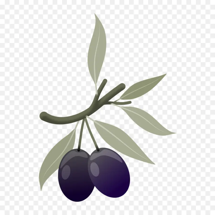 Olive，Fruits PNG