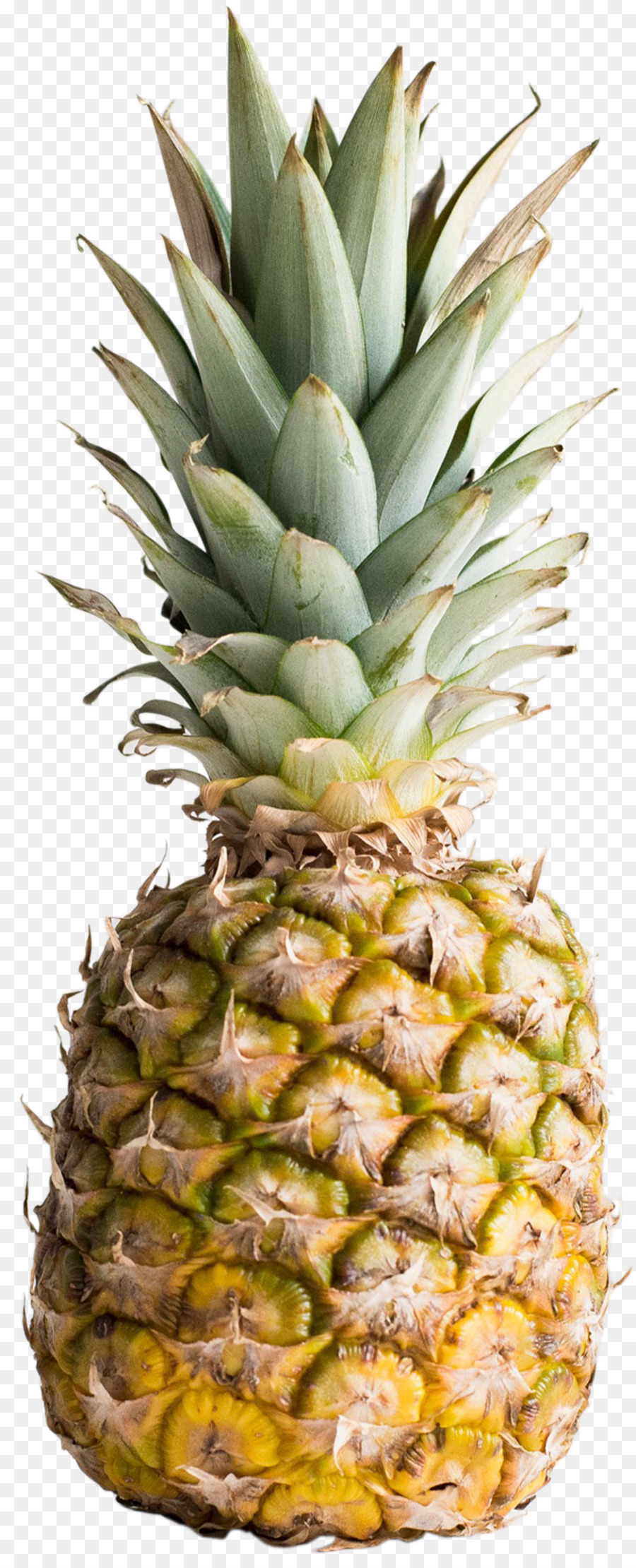 Ananas Bleu，Fruit PNG