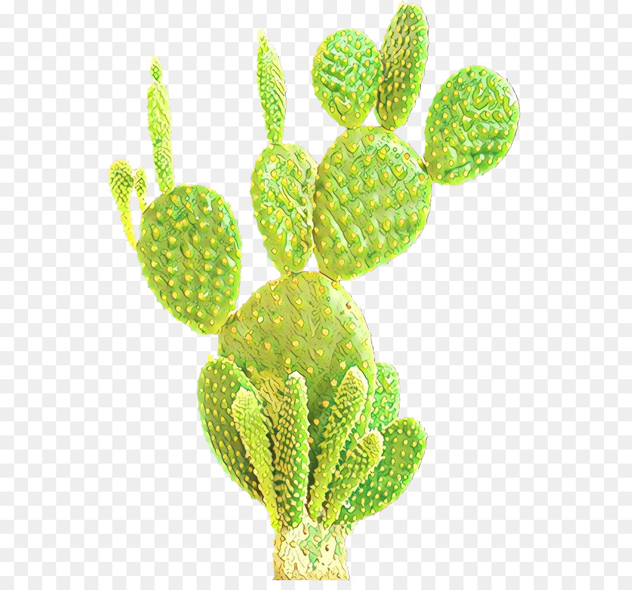 Cactus，Désert PNG