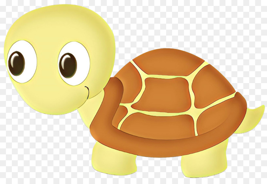 Tortue Verte，Coquille PNG