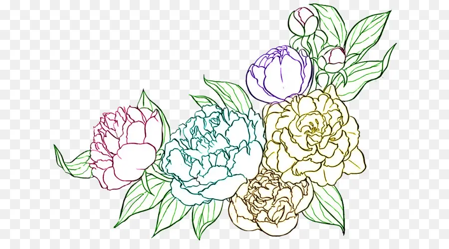 Fleurs Colorées，Contour PNG