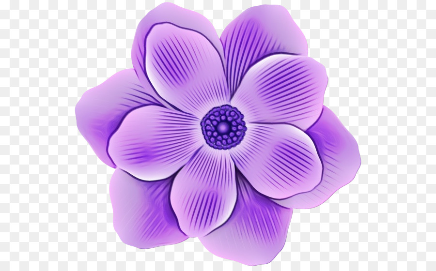 Violet，Lilas PNG