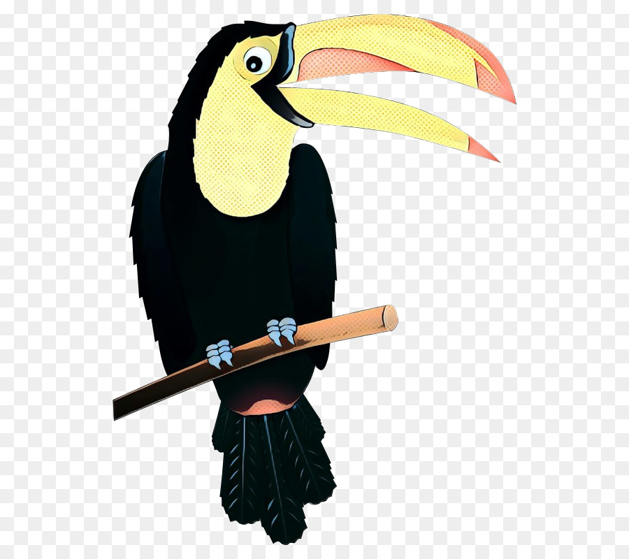 Le Toucan，Oiseau PNG