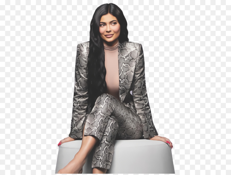 Kylie Cosmétiques，Télé Réalité PNG