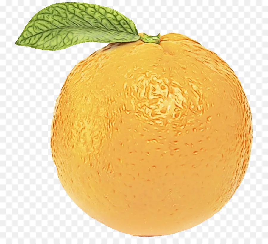 L'orange De Valence，Le Mandarin Orange PNG