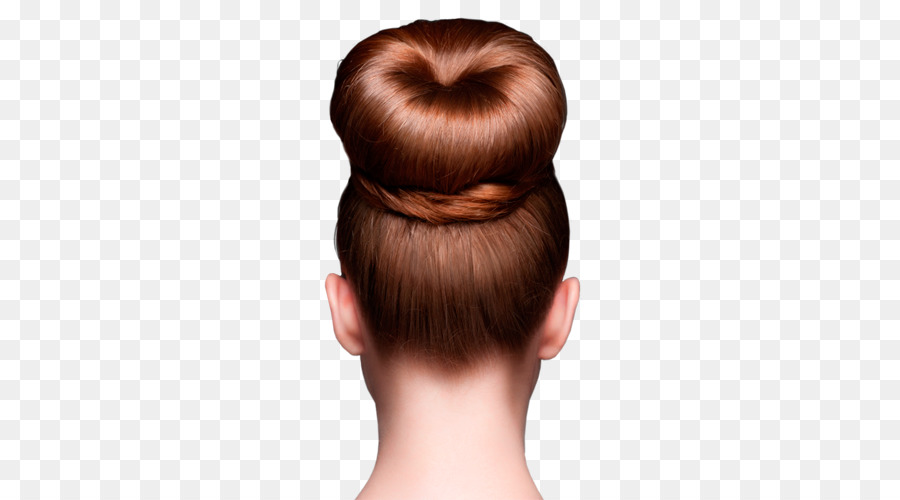 Chignon，Brun PNG