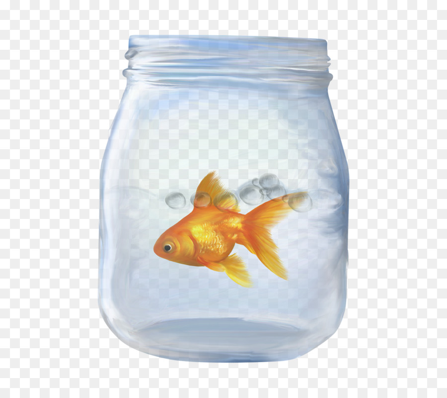 Poisson Rouge En Pot，Eau PNG