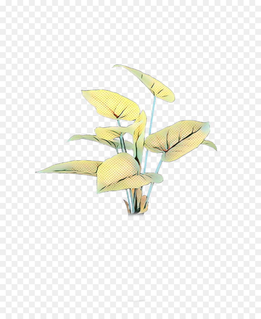 Flowerpot，Les Plantes PNG