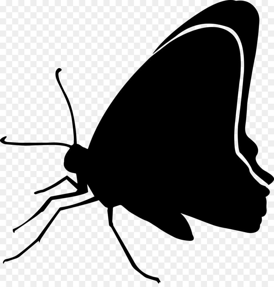 Papillon，Silhouette PNG