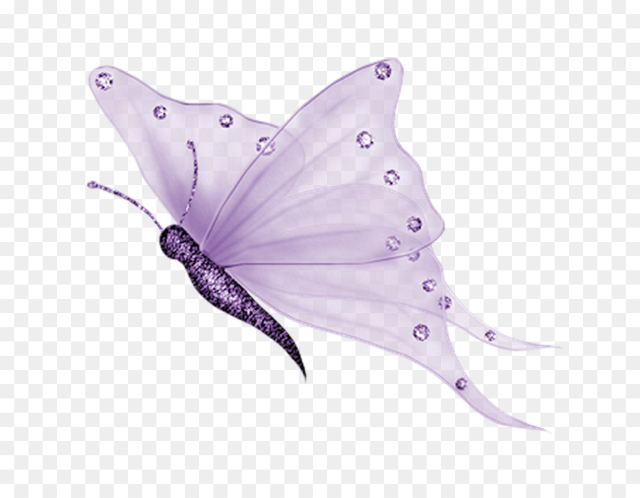 Papillon Blanc，Insecte PNG