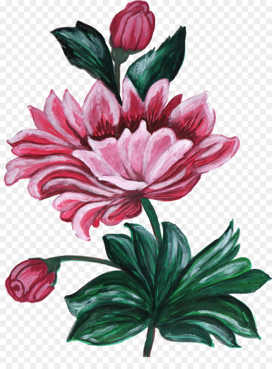 Fleurs，Rose PNG