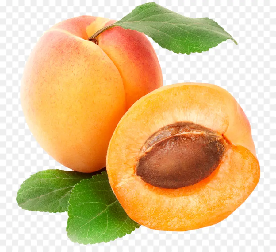 Abricot，Fruit PNG