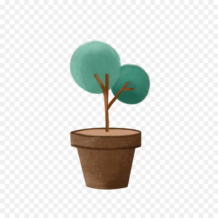 Plante En Pot，Arbre PNG