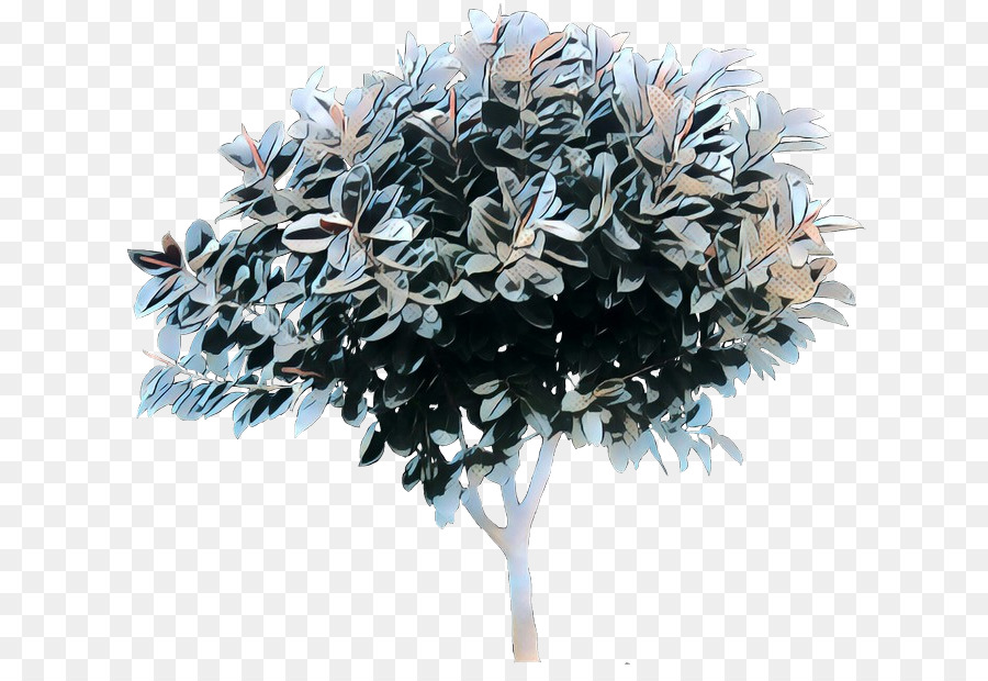 Arbre，Plante PNG