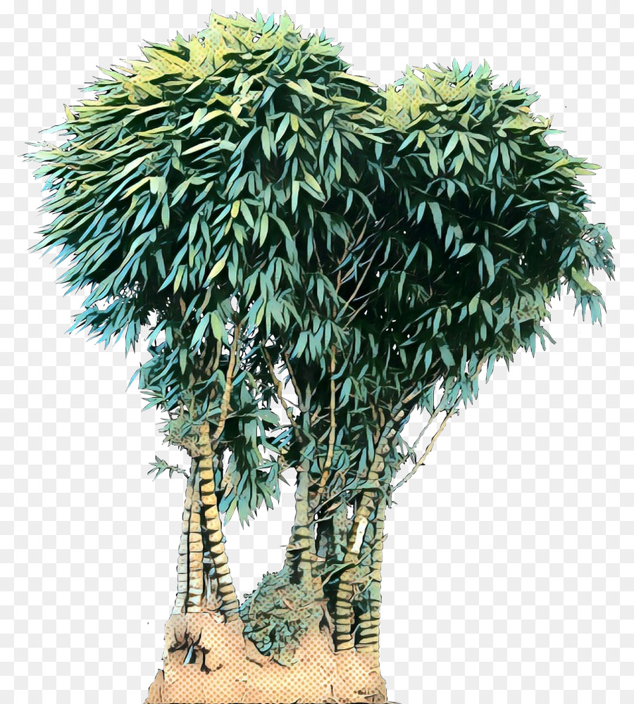 Arbre，Nature PNG