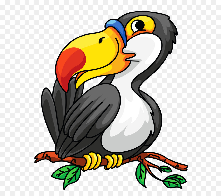 Le Toucan，Oiseau PNG