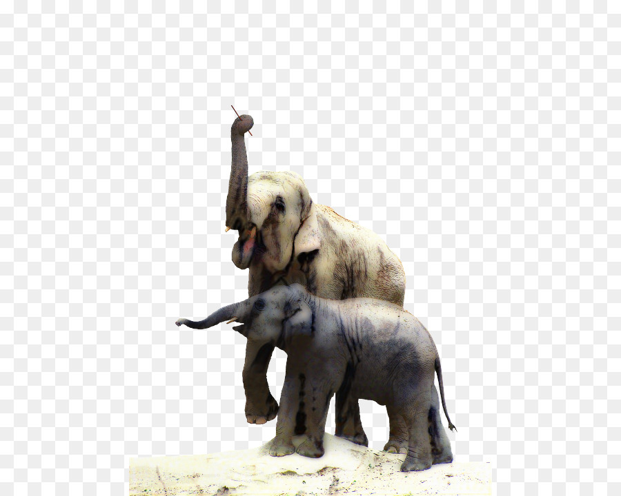 Éléphants，Bébé éléphant PNG