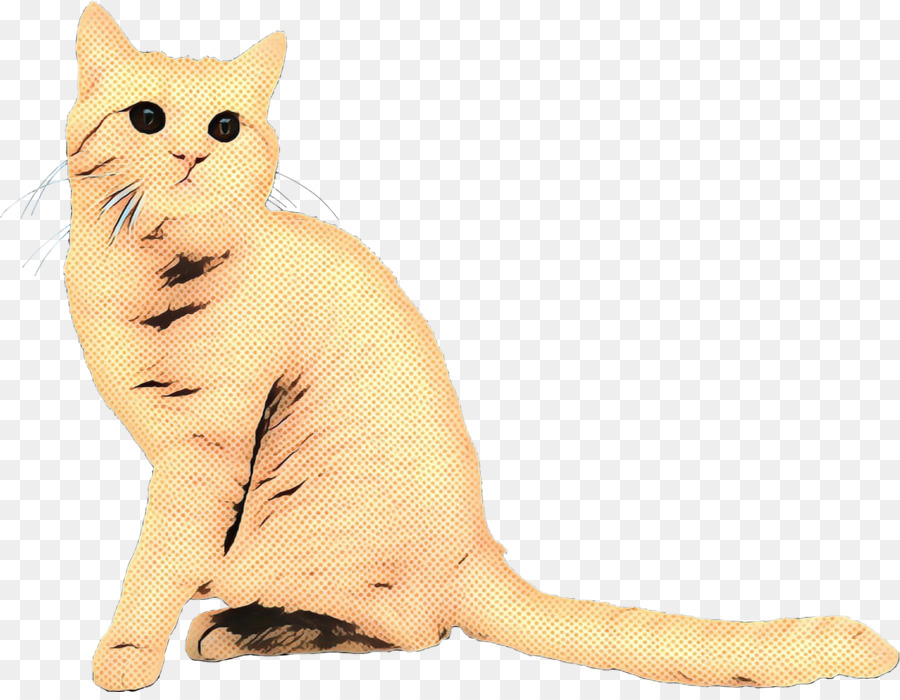 Chat，Animal De Compagnie PNG