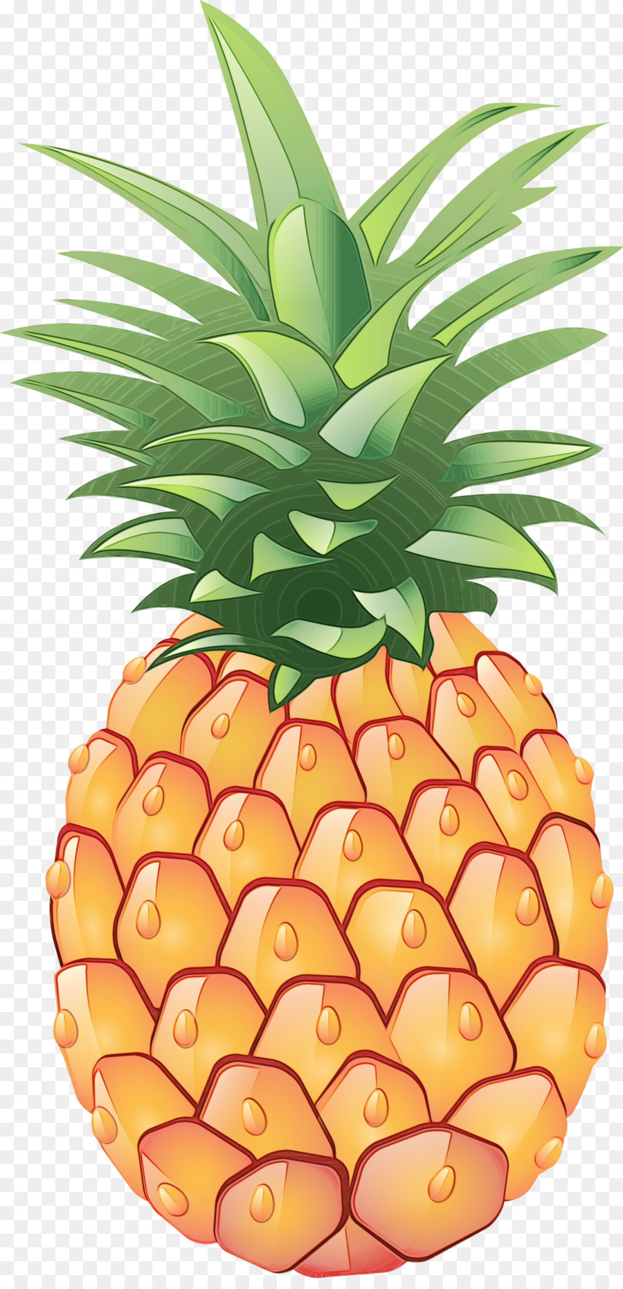 Ananas，Tropical PNG