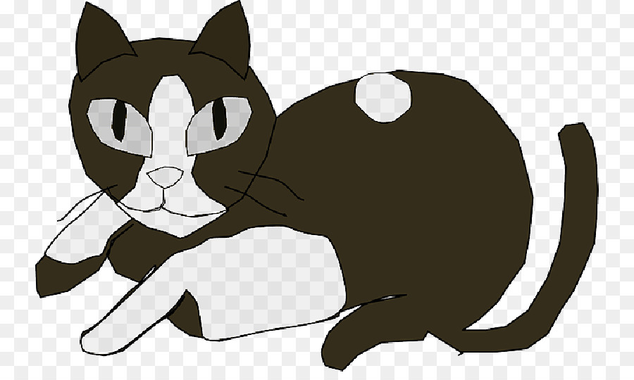 Chat，Felidae PNG