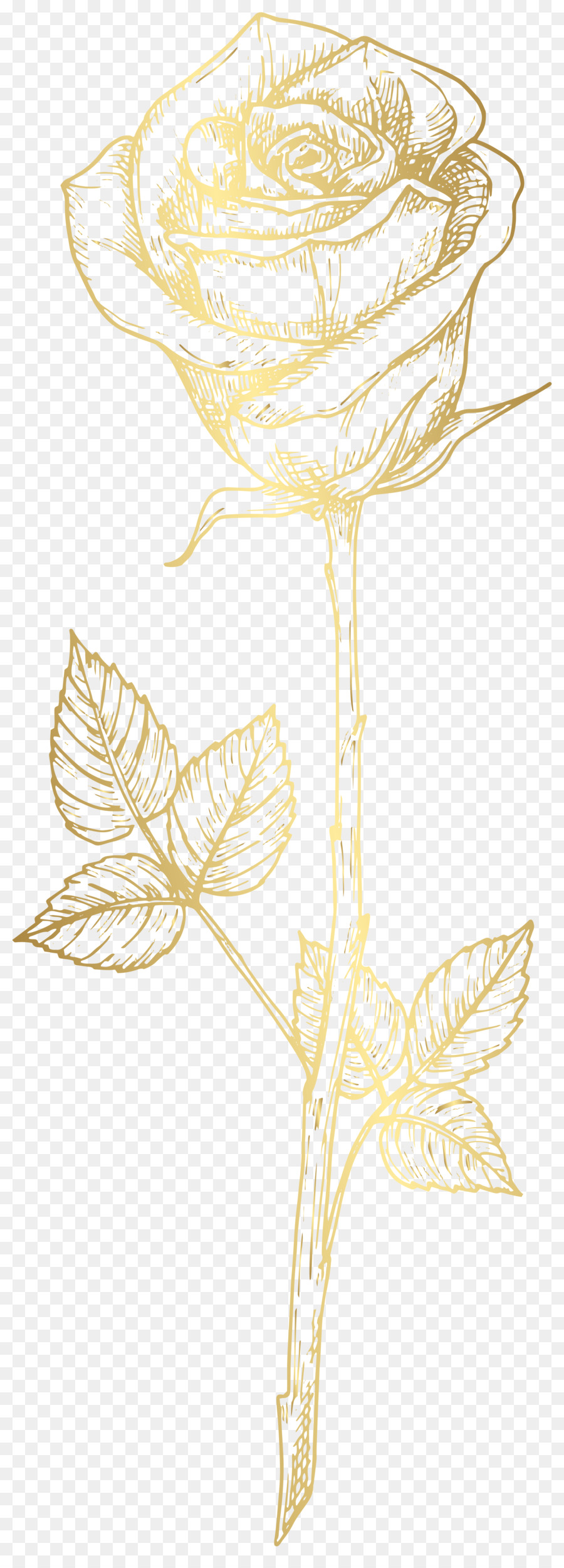 Design Floral，Feuille PNG