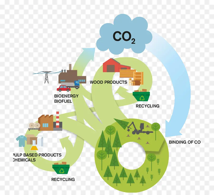 Processus De Recyclage，Co2 PNG