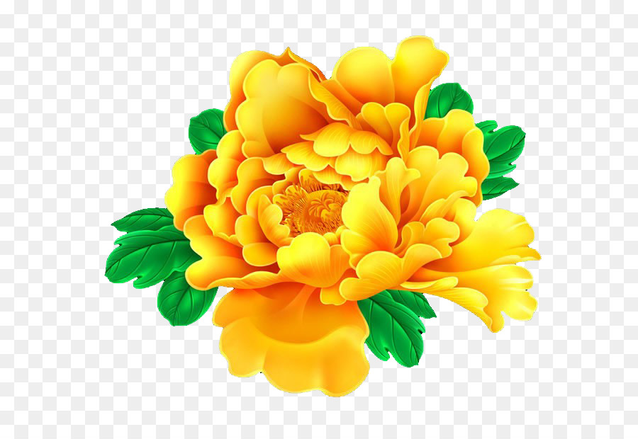 Fleur Jaune，Fleurir PNG