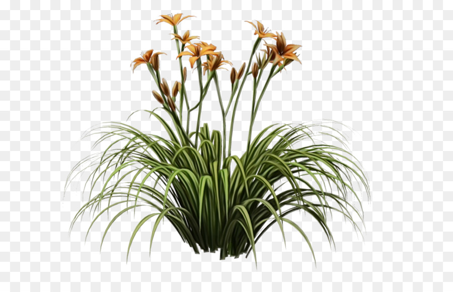 Plante à Fleurs，Fleurs PNG