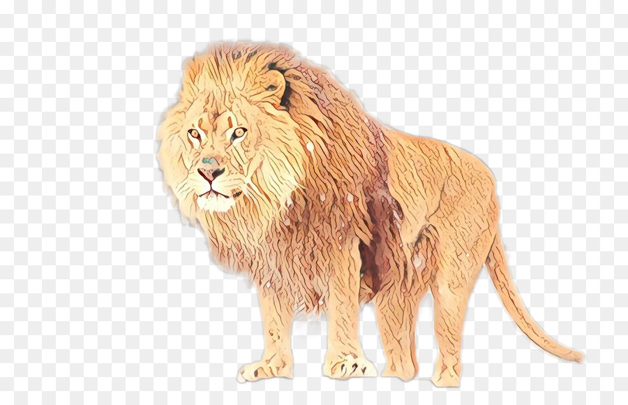 Lion D'afrique De L'est，Pour Les Animaux Terrestres PNG