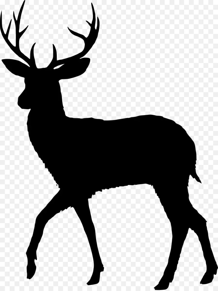 Silhouette De Cerf，Noir PNG