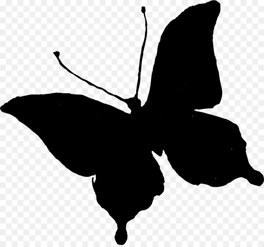 Silhouette De Papillon，Noir PNG