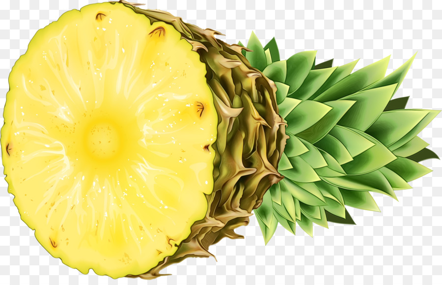 Ananas，Tropical PNG