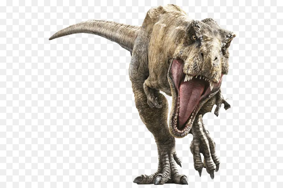 Tyrannosaurus Rex，Jurassic Park PNG