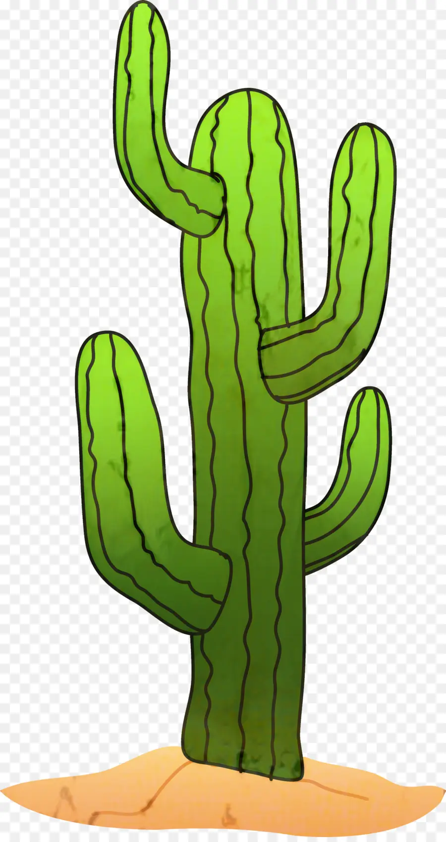 Cactus，Saguaro PNG